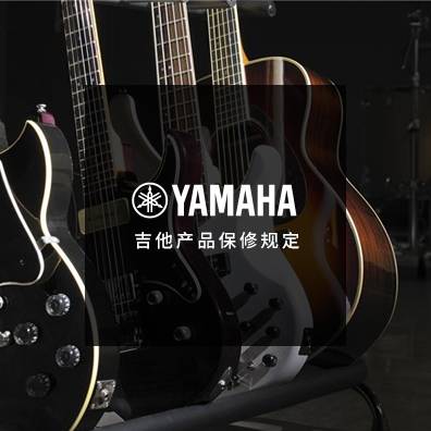 吉他、贝斯和音箱