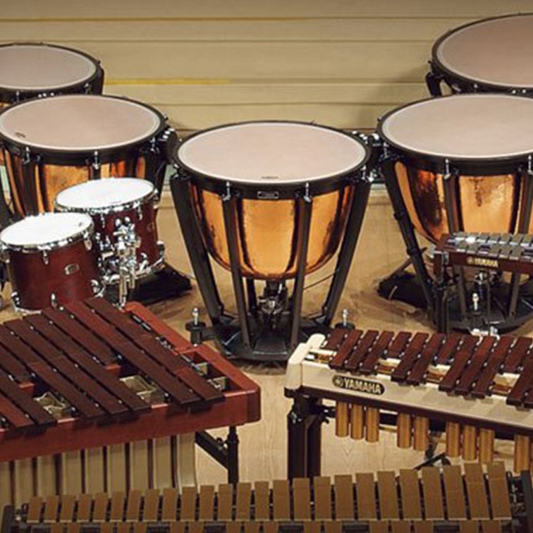 金刚刮刮乐AI音乐课堂🎹钢琴、吉他、小提琴课程实时互动，轻松提升技能